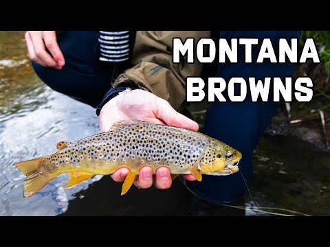 Product video from Trident Fly Fishing
