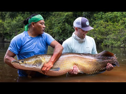 Rewa River Camps