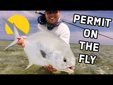 Product video from Trident Fly Fishing