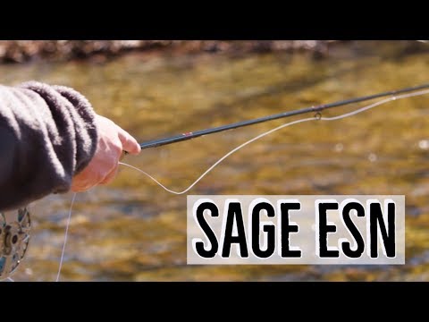 Product video from Trident Fly Fishing