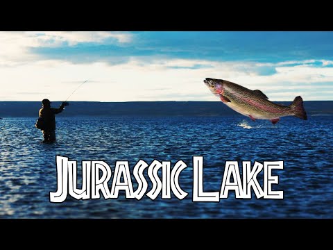 Product video from Trident Fly Fishing