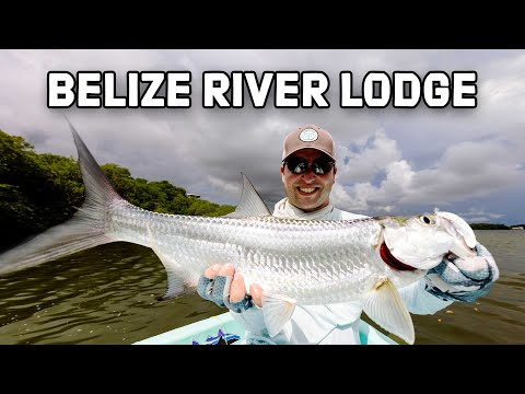 Product video from Trident Fly Fishing