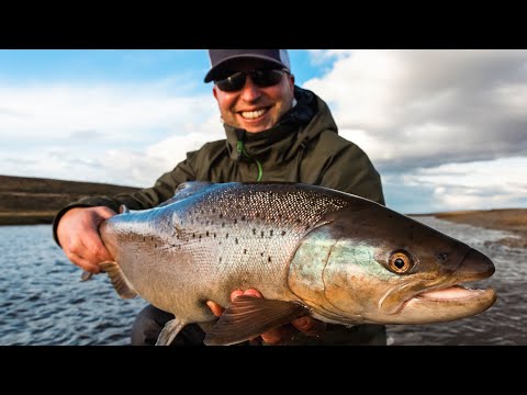 Product video from Trident Fly Fishing