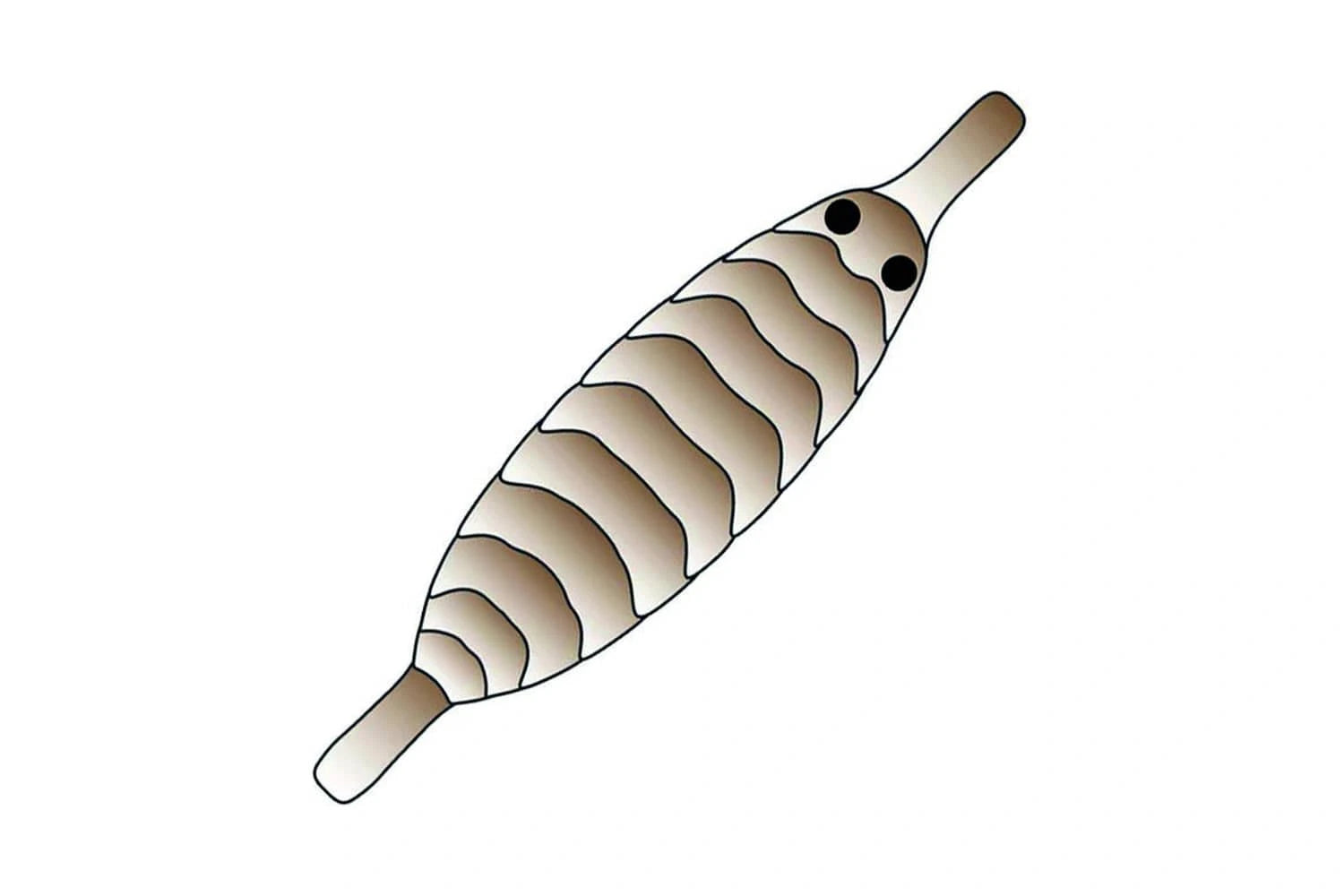 Pro Sportfisher Gammarus Shell
