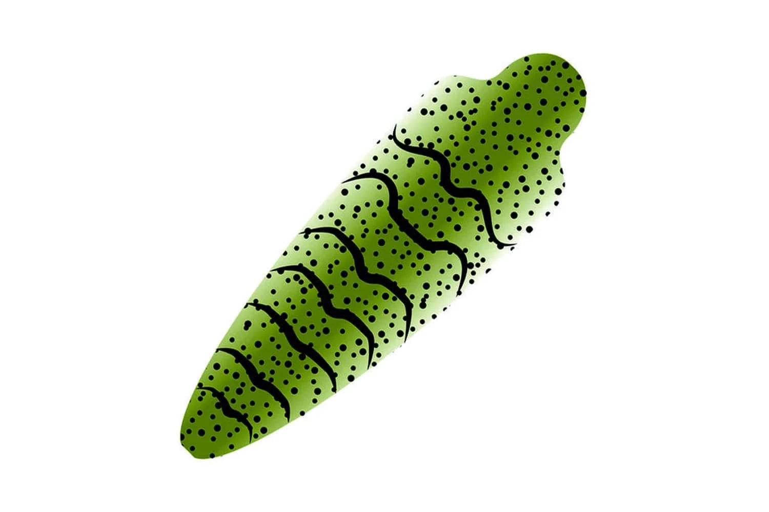 Pro Sportfisher Shrimpshell