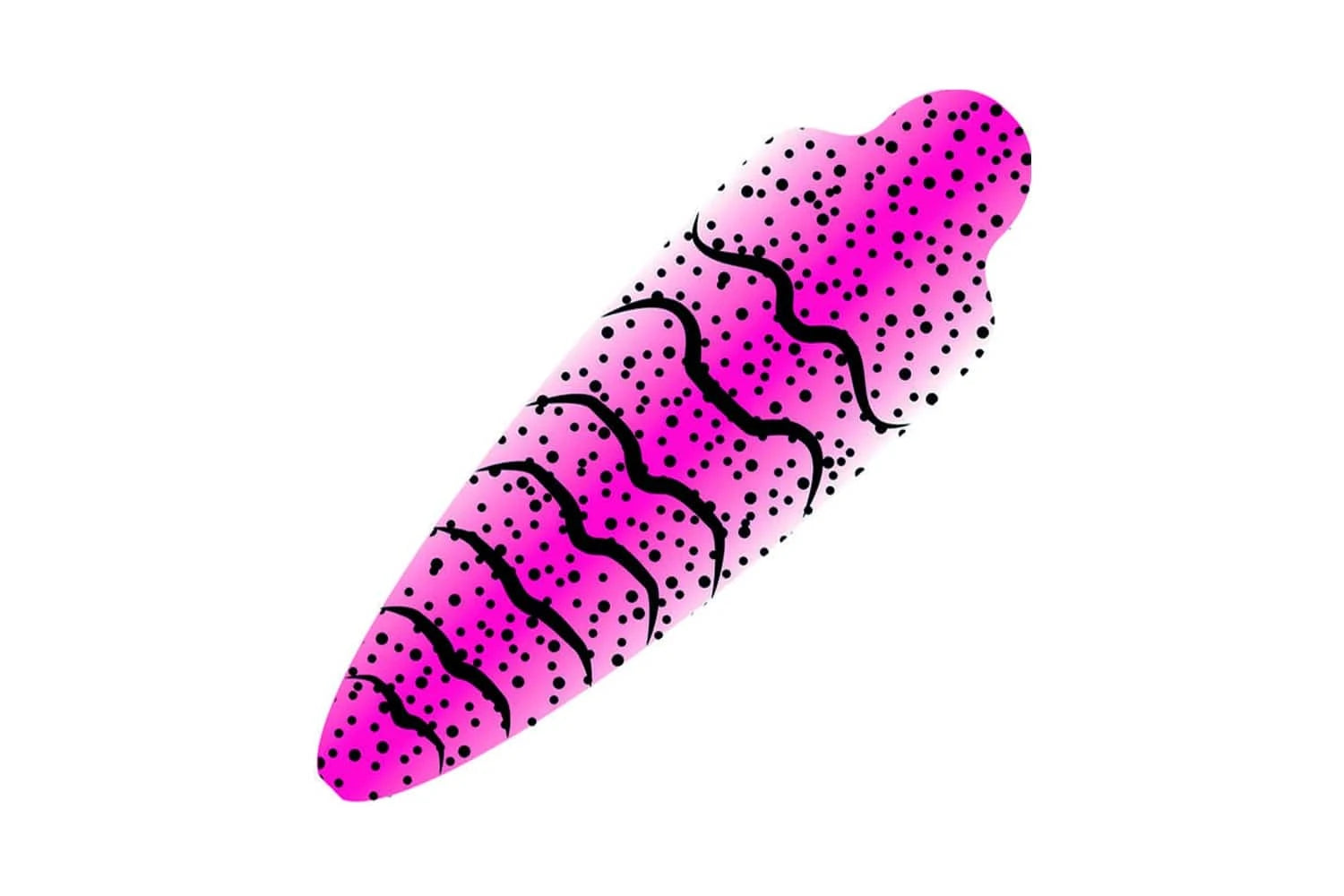 Pro Sportfisher Shrimpshell
