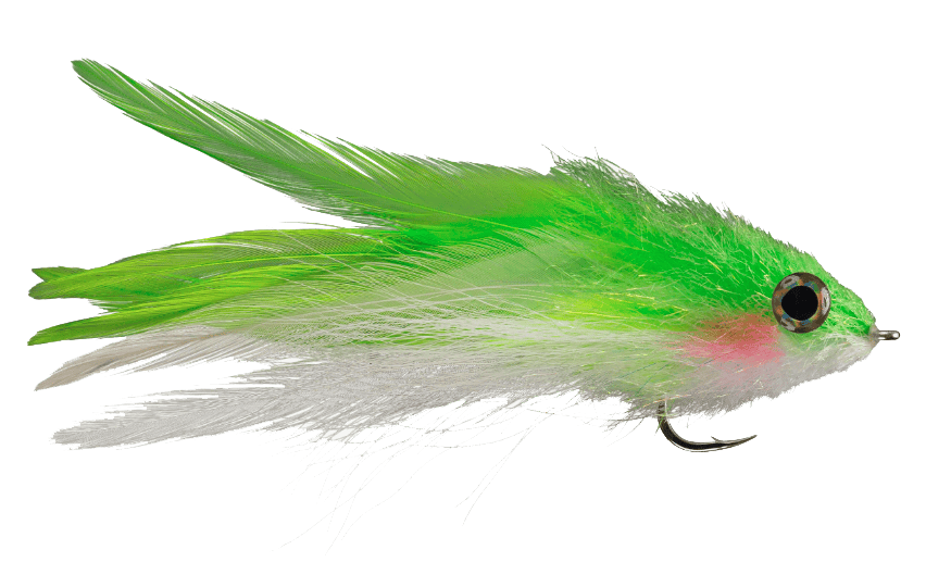 King Kinky Muddler Fly