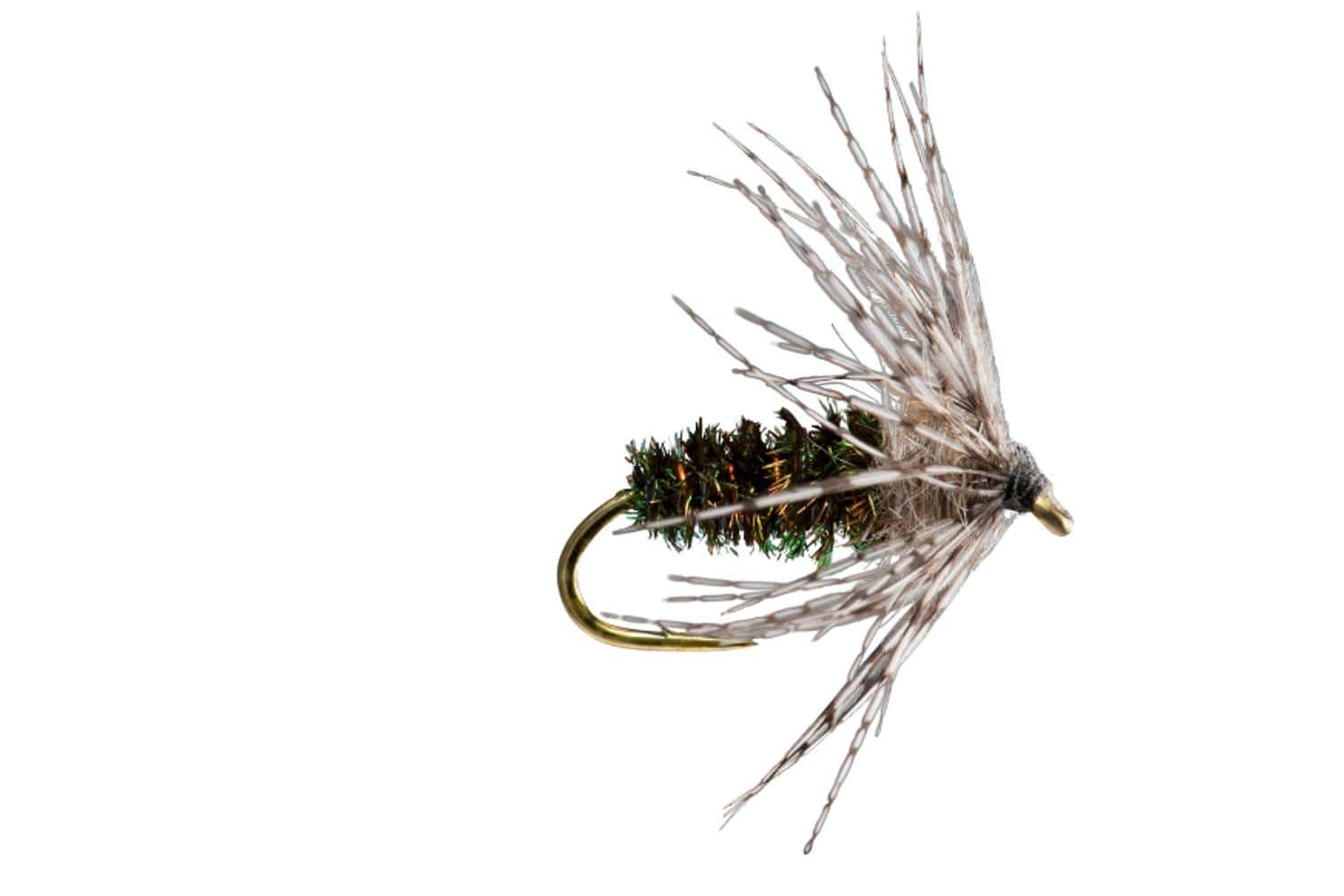 Partridge Soft Hackle Fly