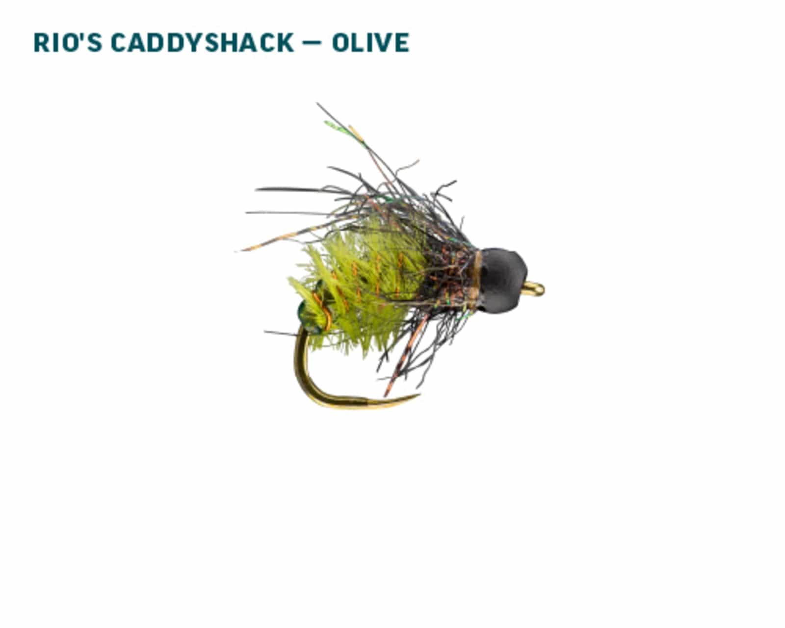 Rio Signature Euro Nymph Fly Assortment