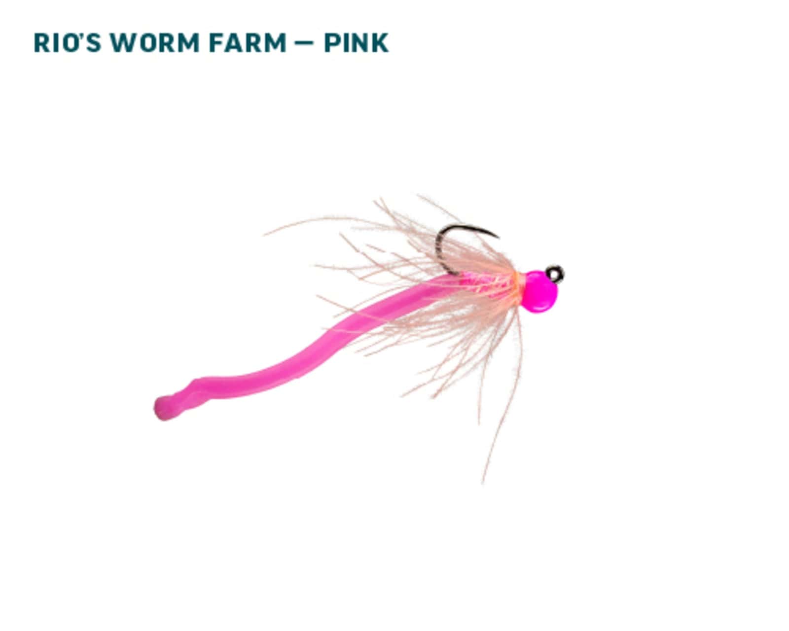 Rio Signature Euro Nymph Fly Assortment