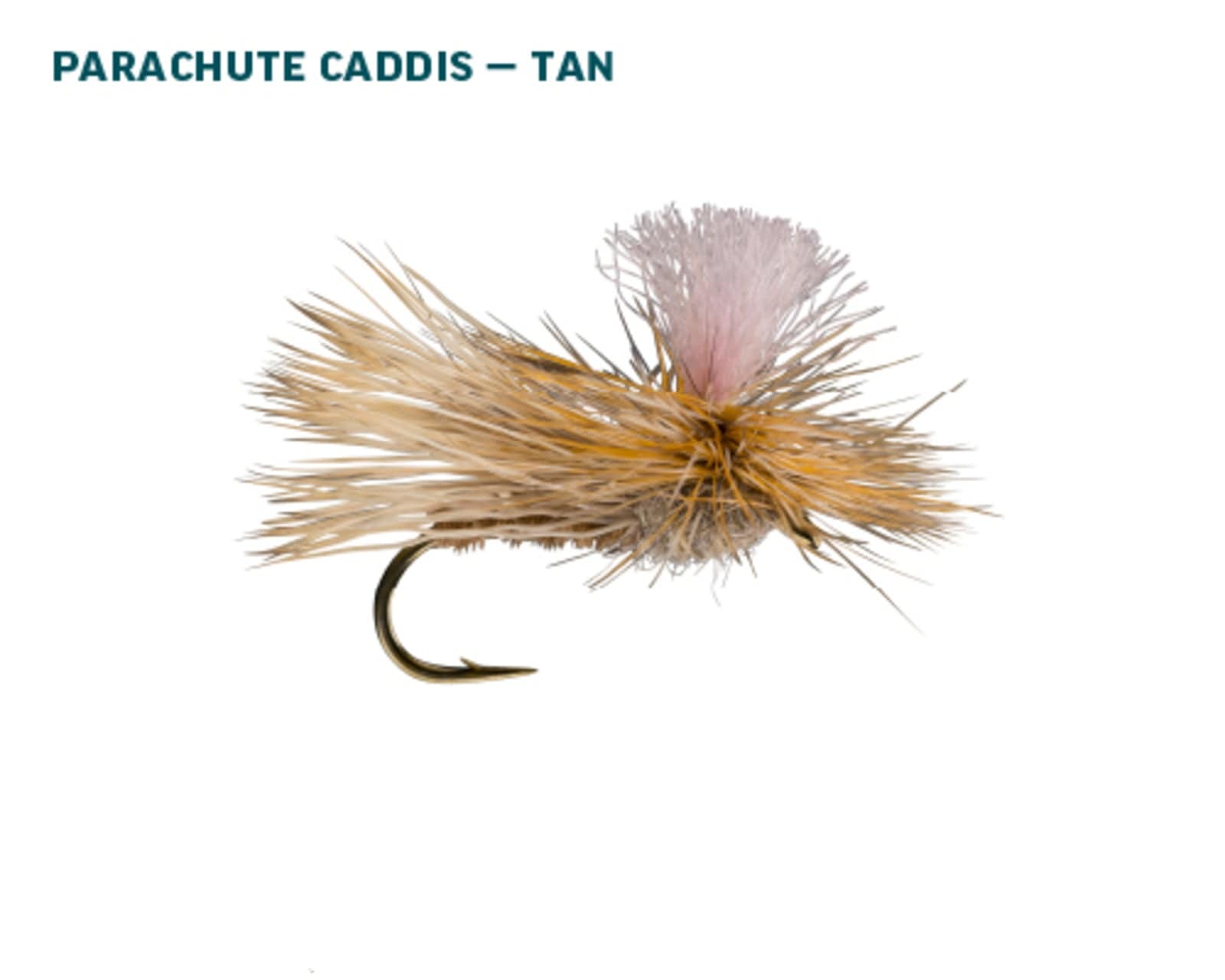 Rio Tan Caddis Dry Fly Assortment