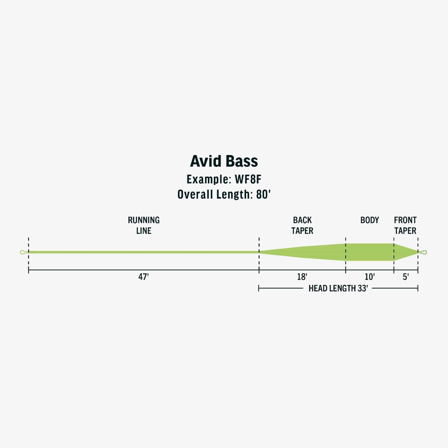 Rio Avid Bass Fly Line