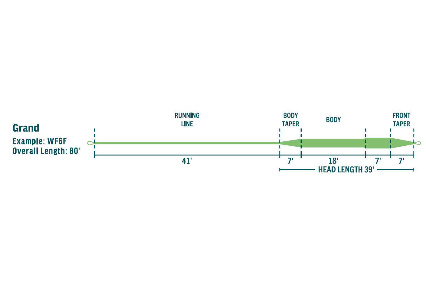 Rio Avid Trout Grand fly line diagram: green line labeled 80' overall, 41' running, 39' head (7' tapers, 18' body)
