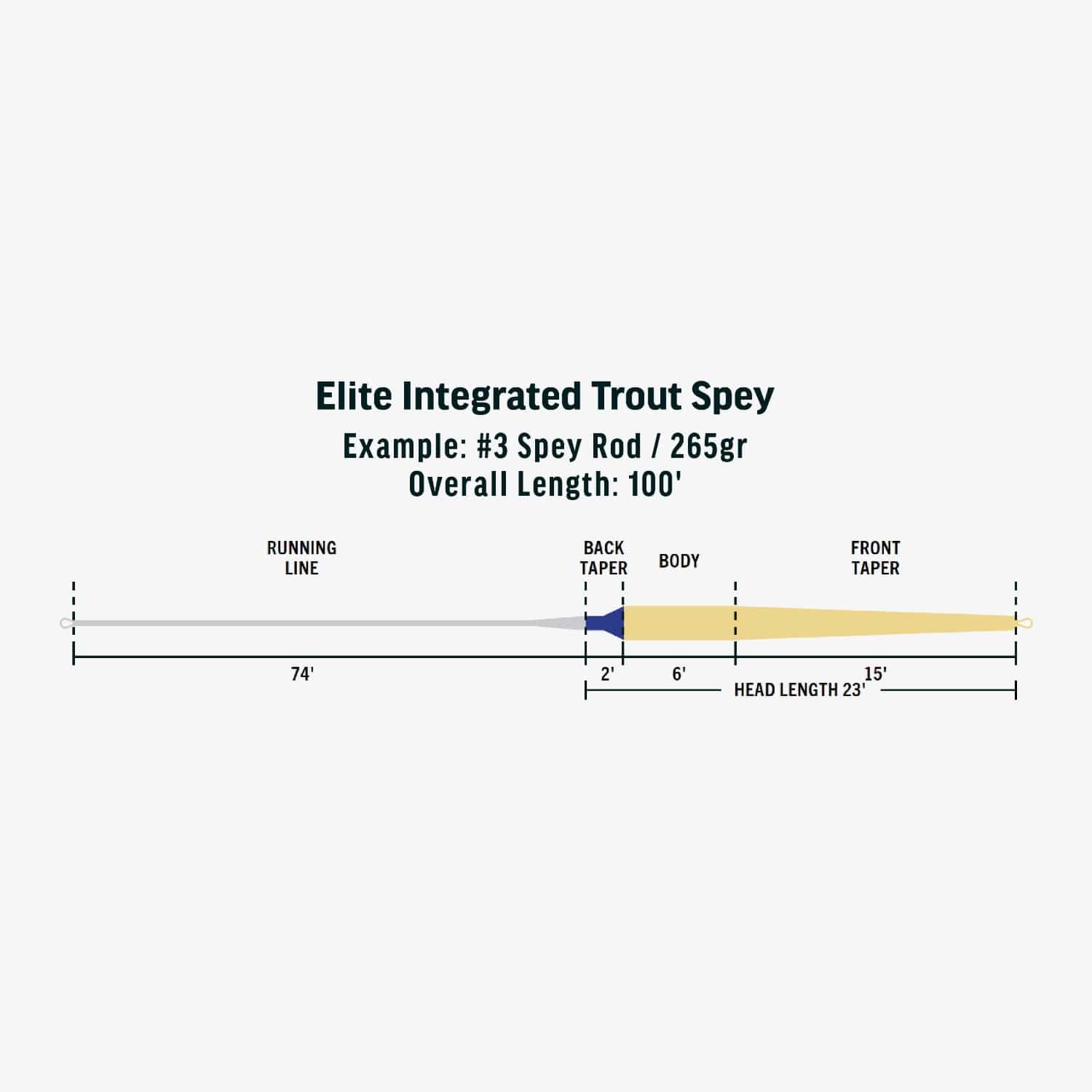 Rio Elite Integrated Trout Spey Line