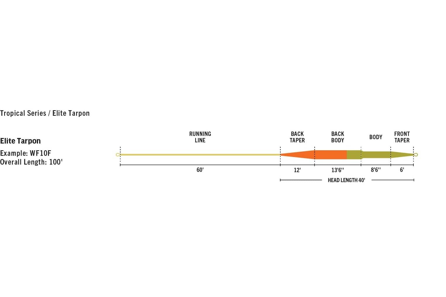 Rio Elite Tarpon fly line diagram with long yellow running line, orange back taper and olive body/front taper, 100' overall
