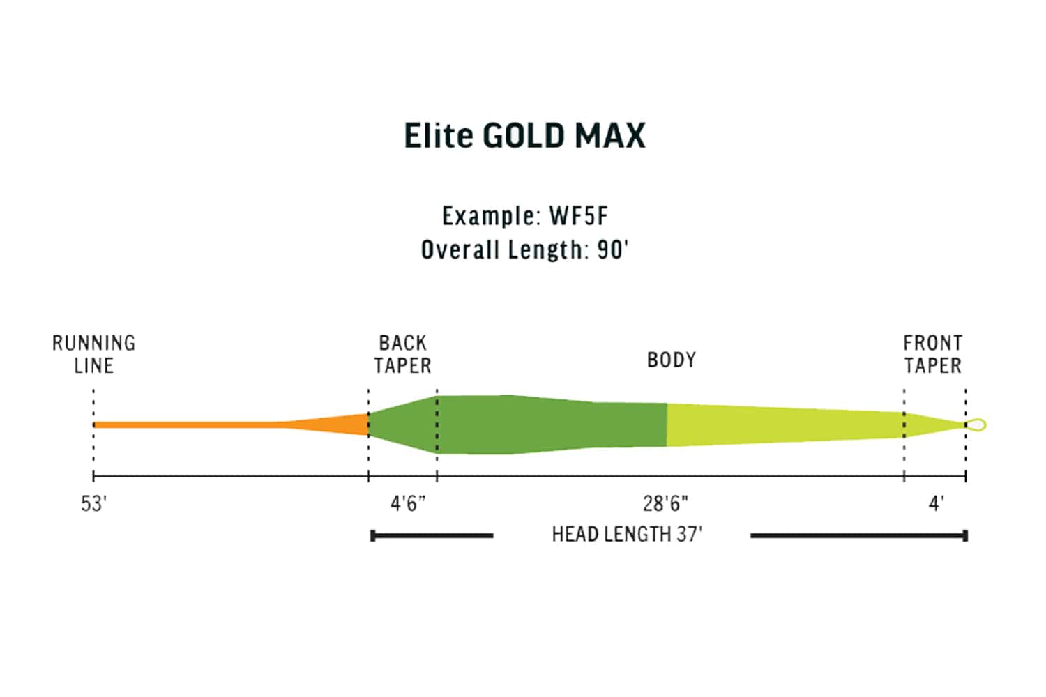 Rio Gold Max Premier Fly Line