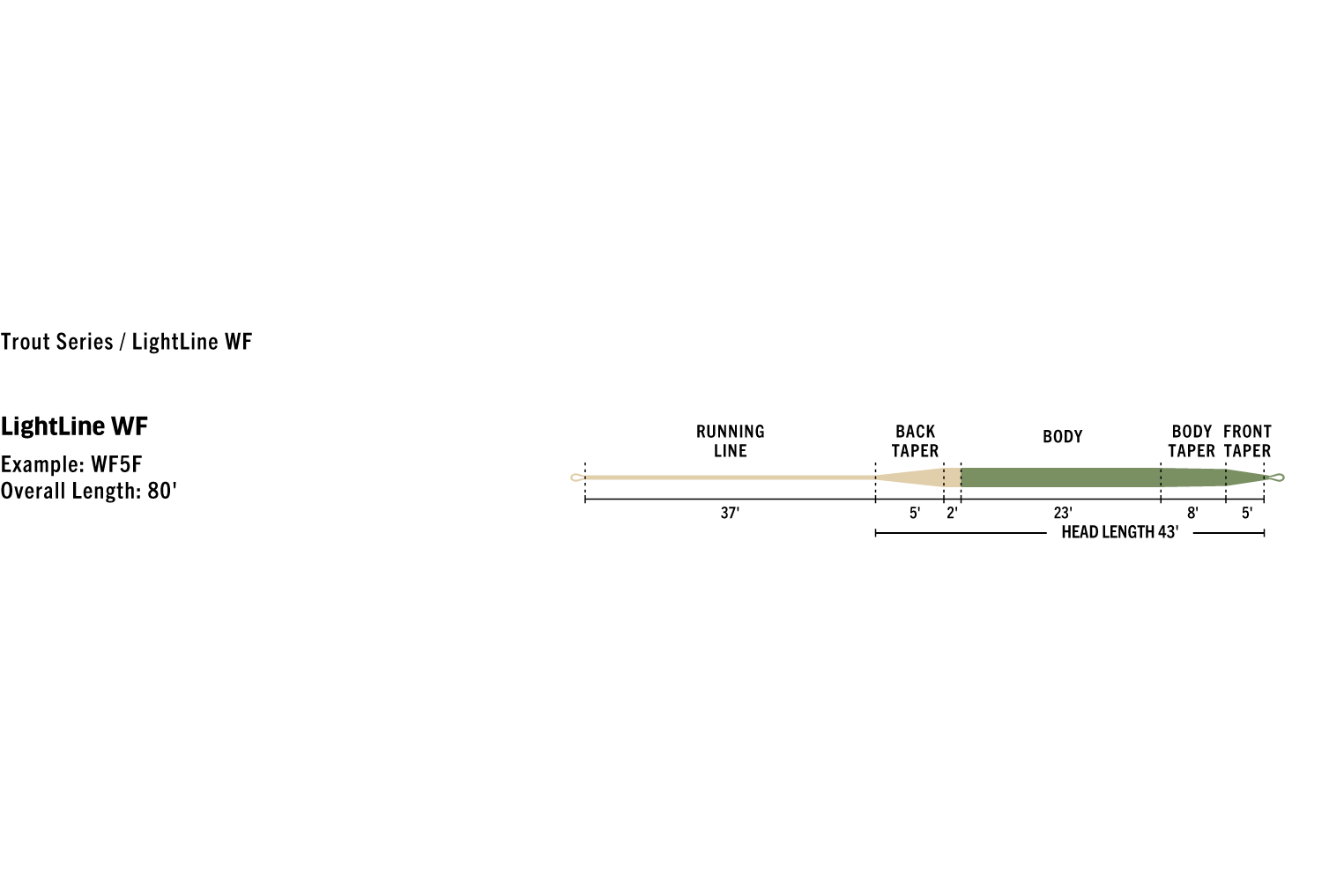 Rio LightLine WF fly line diagram: beige running line, tan back taper and green body with front taper and labeled lengths