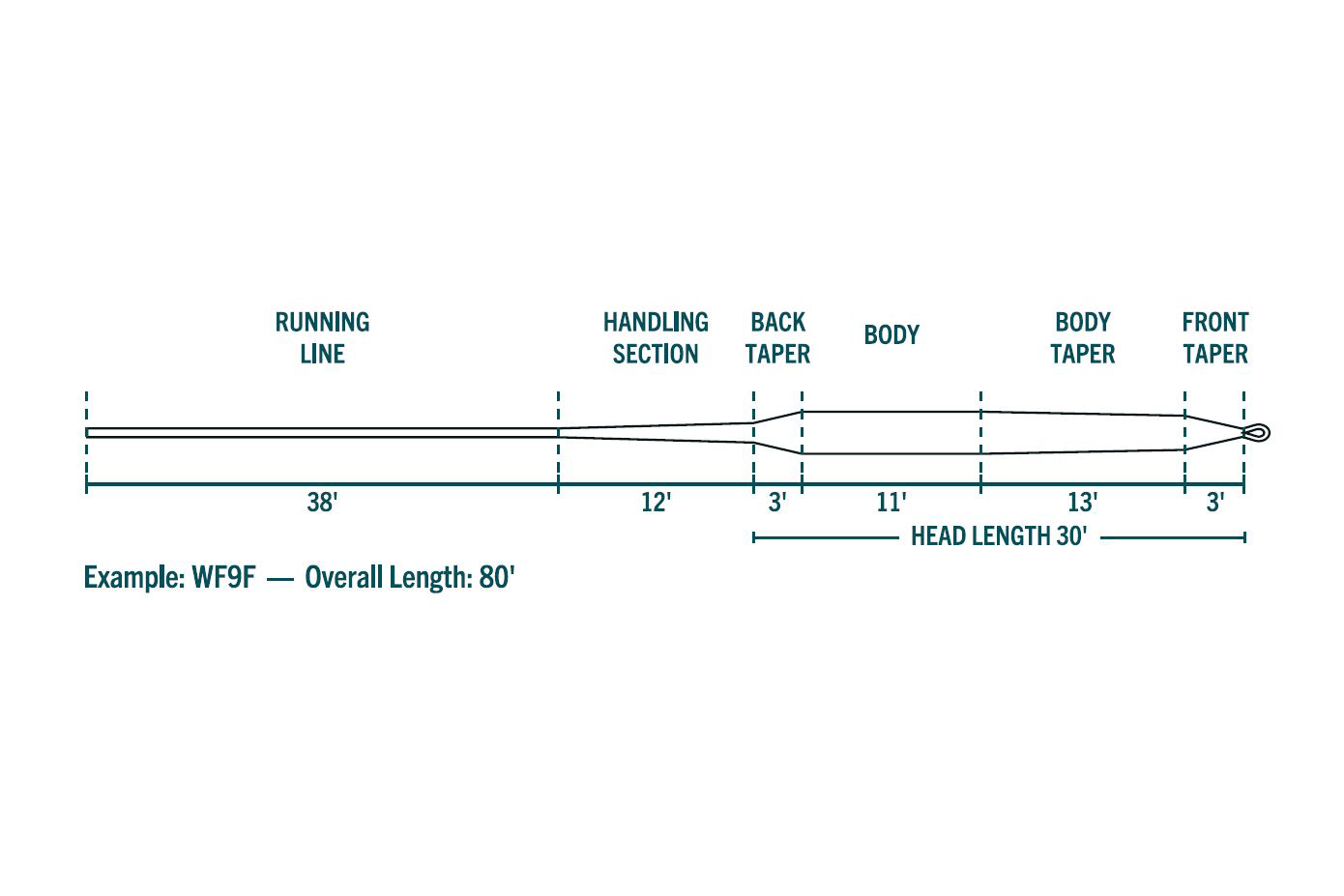Rio Mainstream Striper fly line diagram, teal tapered line with labeled sections: running 38', handling 12', head 30