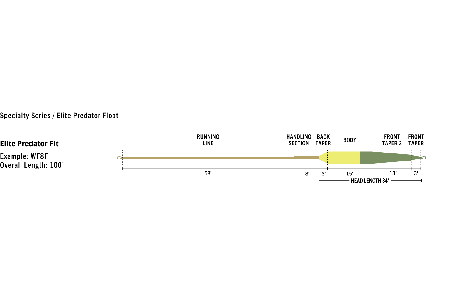 Rio Predator Elite fly line: tan running line with yellow body and olive front taper, labeled sections, 100' length