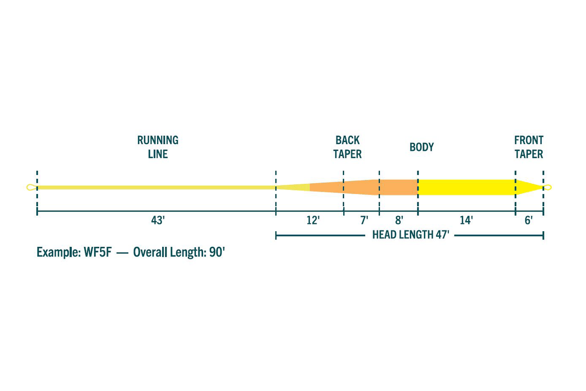 Rio Premier Dog Days Gold fly line diagram with yellow running/front taper and orange back taper/body, labeled segment length