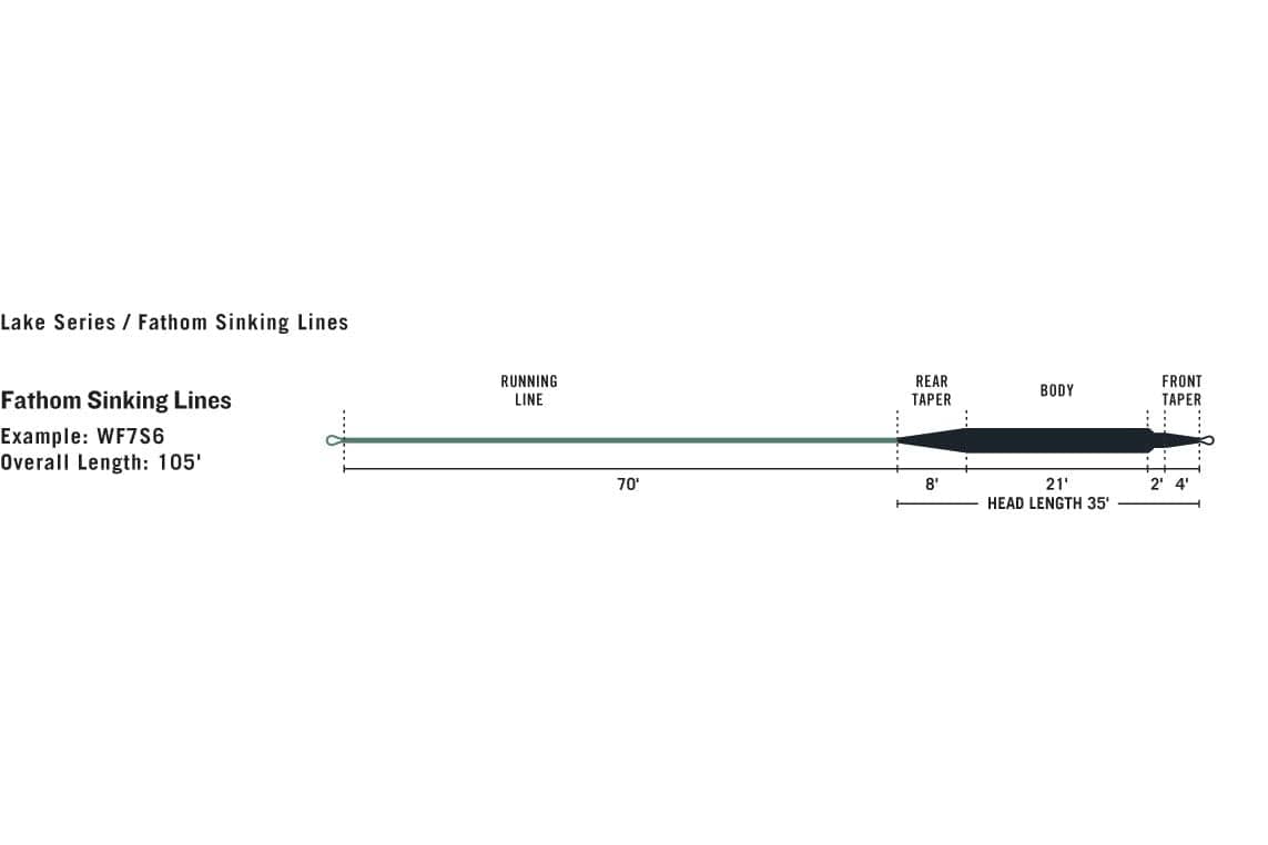Rio Fathom sinking fly line diagram showing green running line and dark tapered head with rear taper, body and front taper