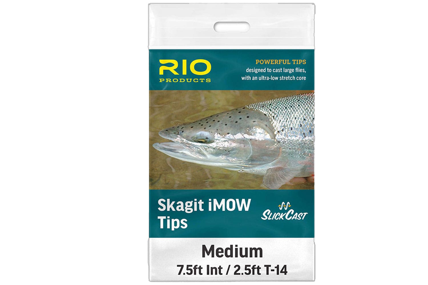 Rio Skagit iMow Light Tip