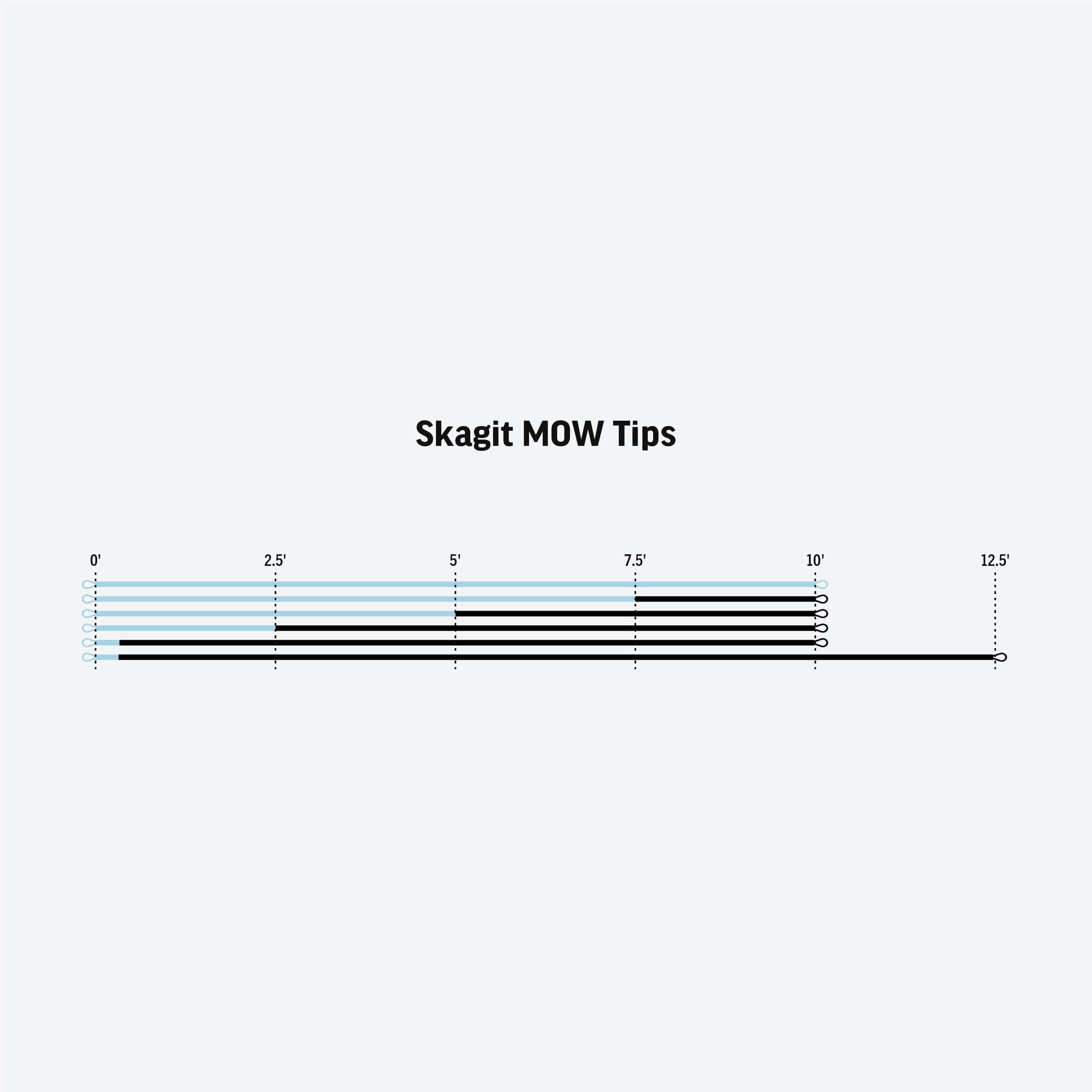Rio Skagit Mow Light Tip