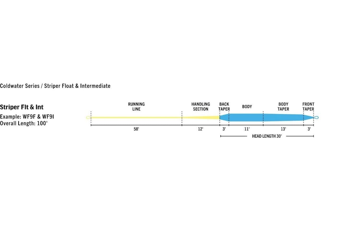 Rio Striper Premier fly line diagram showing yellow running line and blue tapered body with labeled sections and lengths