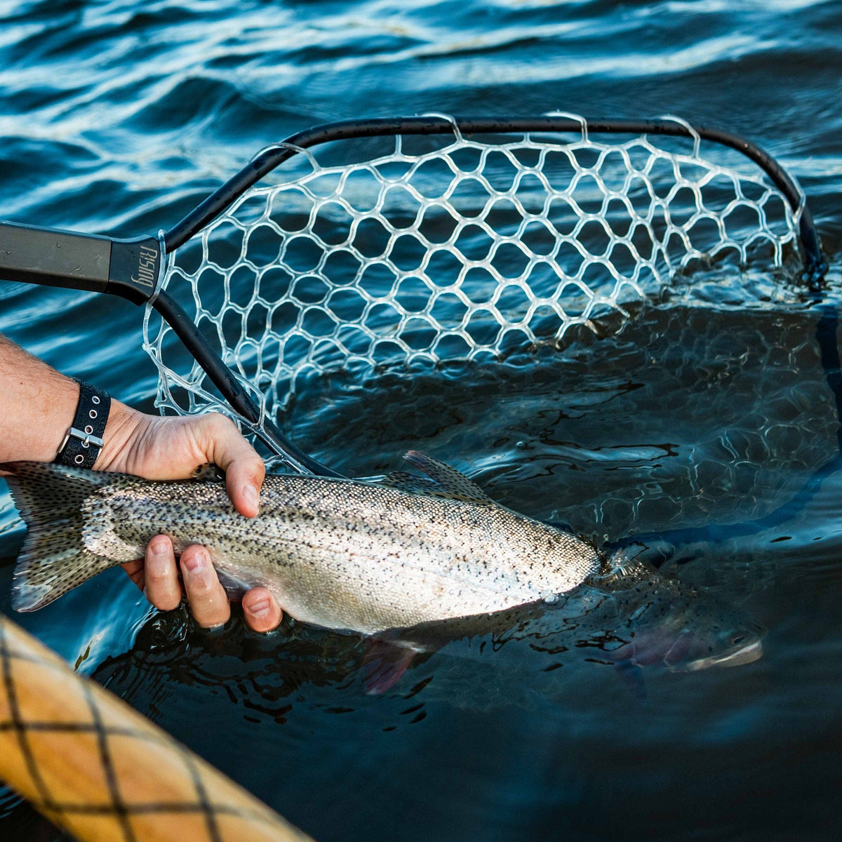 Black Rising boat net with white rubber mesh holding a silver rainbow trout over rippling blue water
