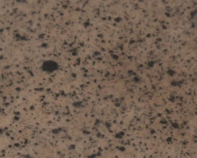 River Road Speckled Wing