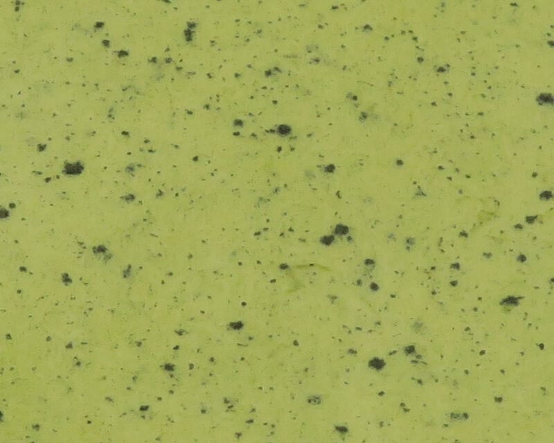 River Road Speckled Wing