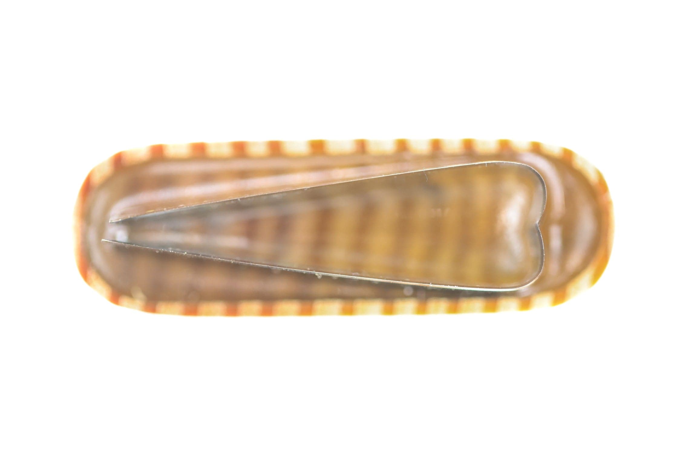 River Road Stonefly Wing Cutter