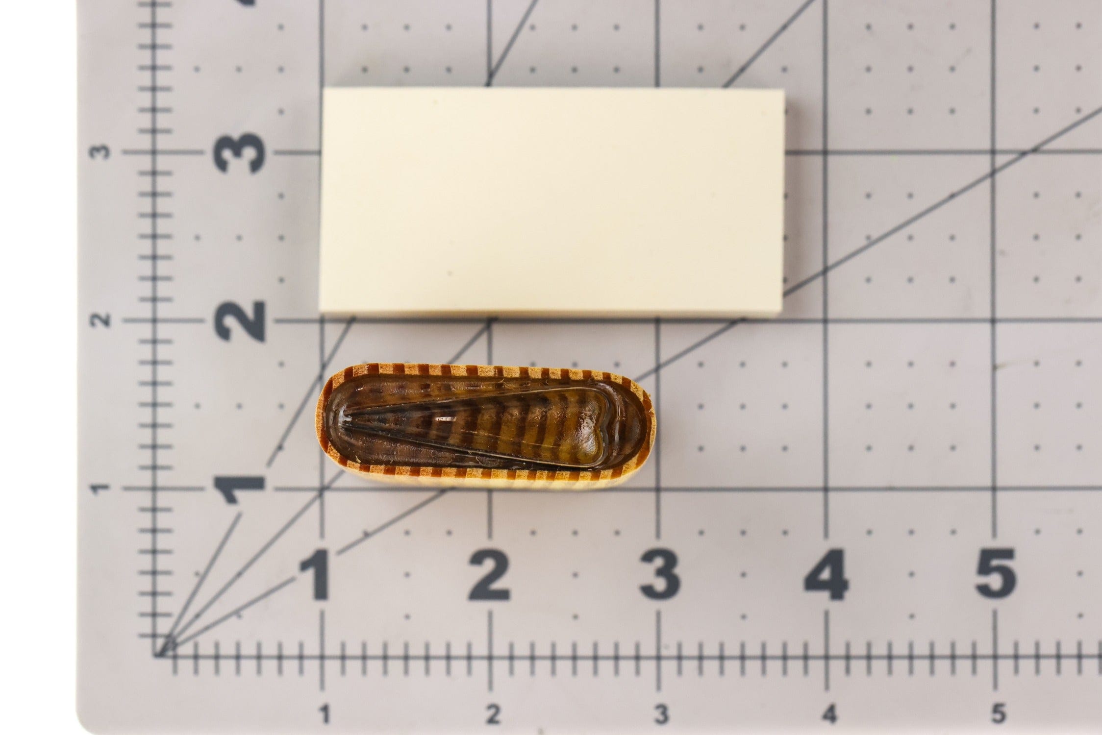 River Road Stonefly Wing Cutter