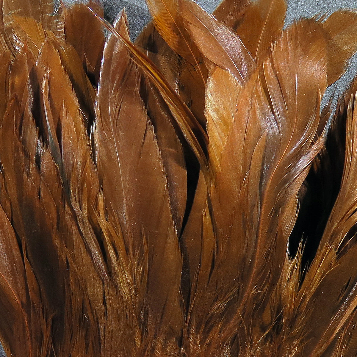 Hareline Rooster Schlappen