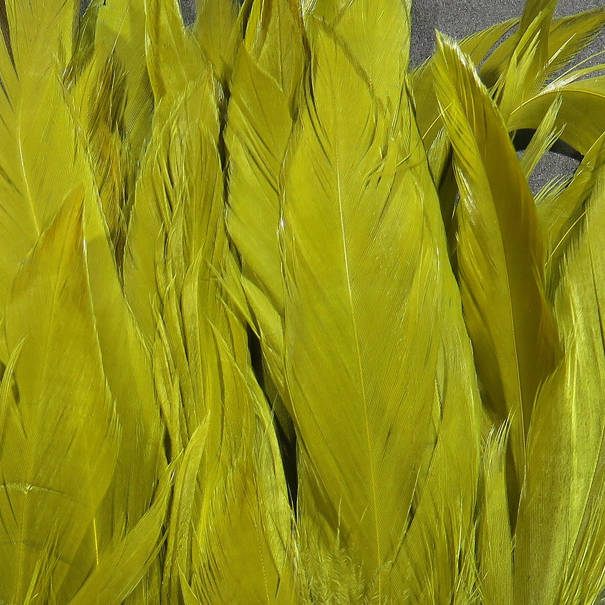 Hareline Rooster Schlappen