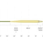 Scientific Anglers Amplitude Smooth Carp Fly Line