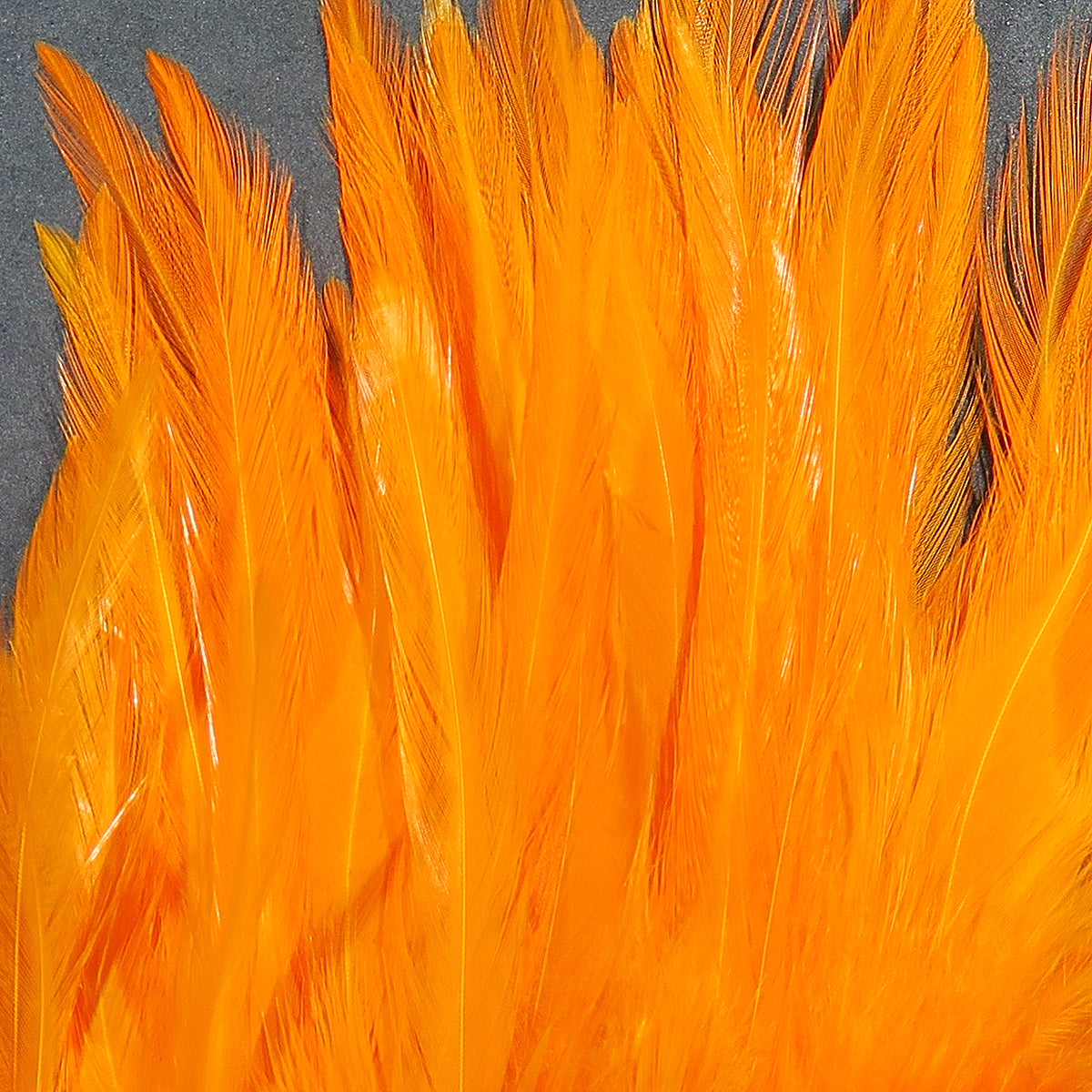 Hareline Strung Saddle Hackle