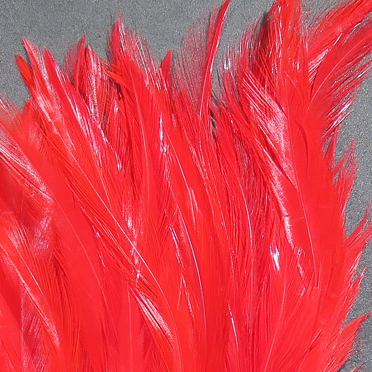 Hareline Strung Saddle Hackle