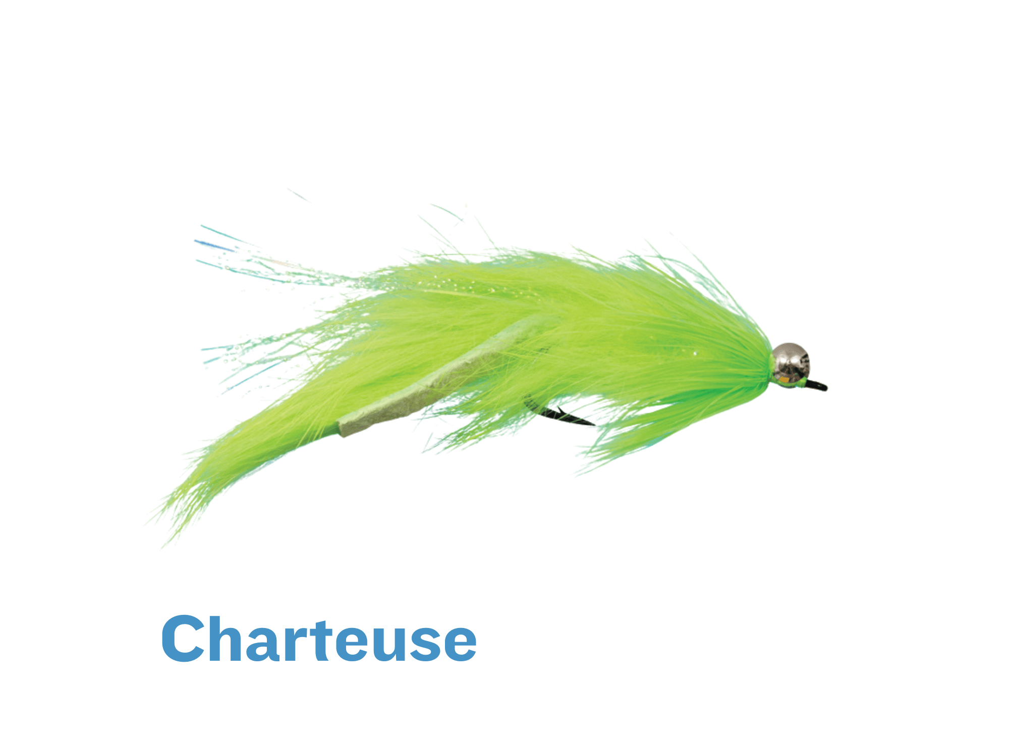 Hare Leech Fly