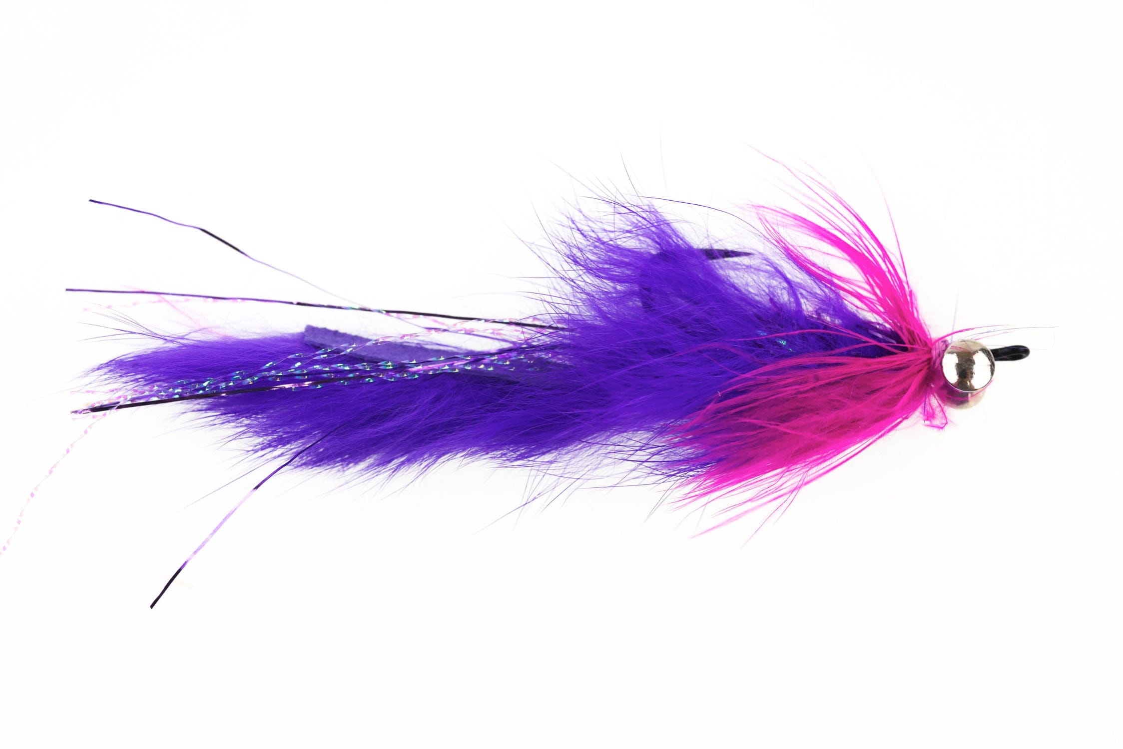 Hare Leech Fly