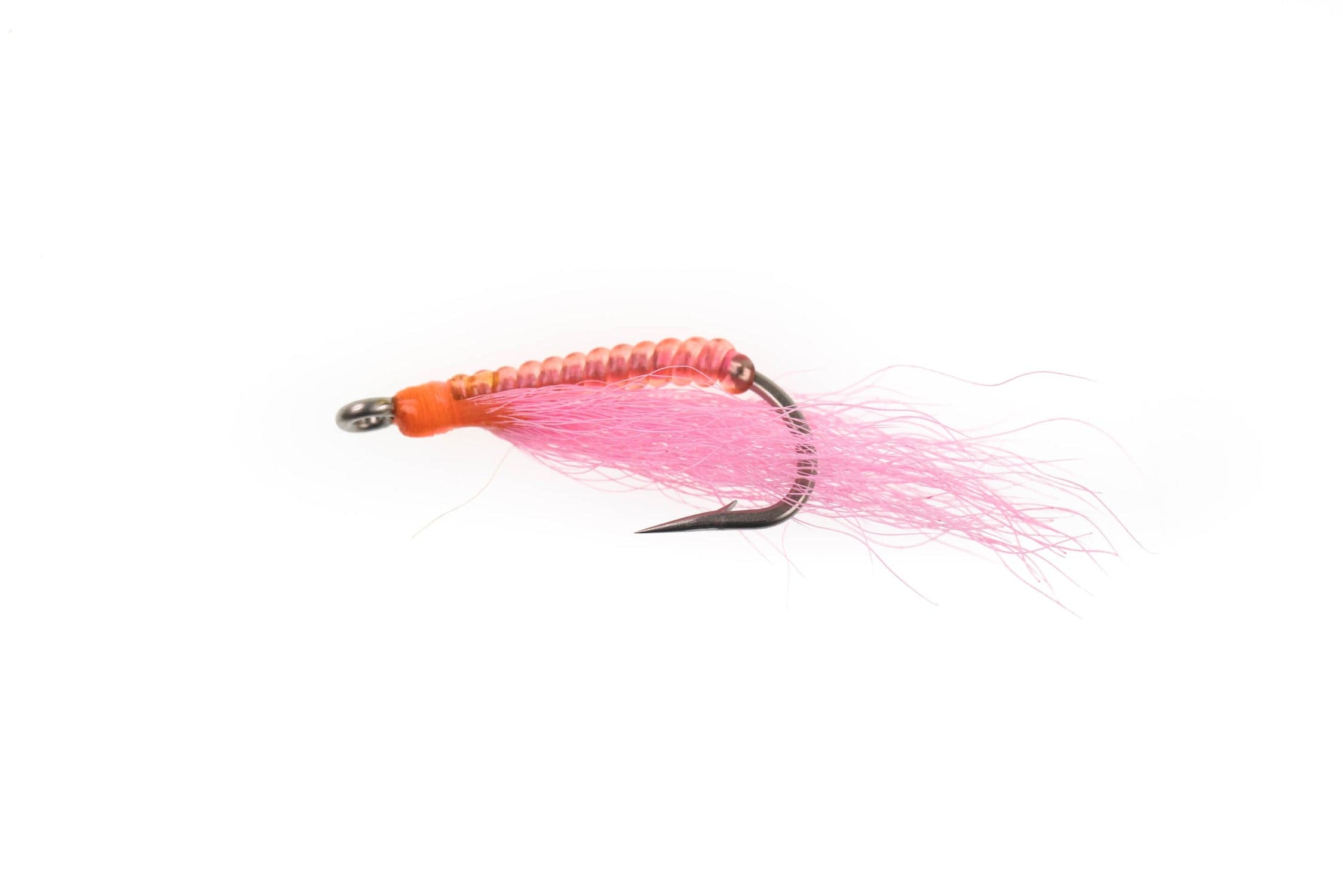 Solitude Blind Charlie Fly