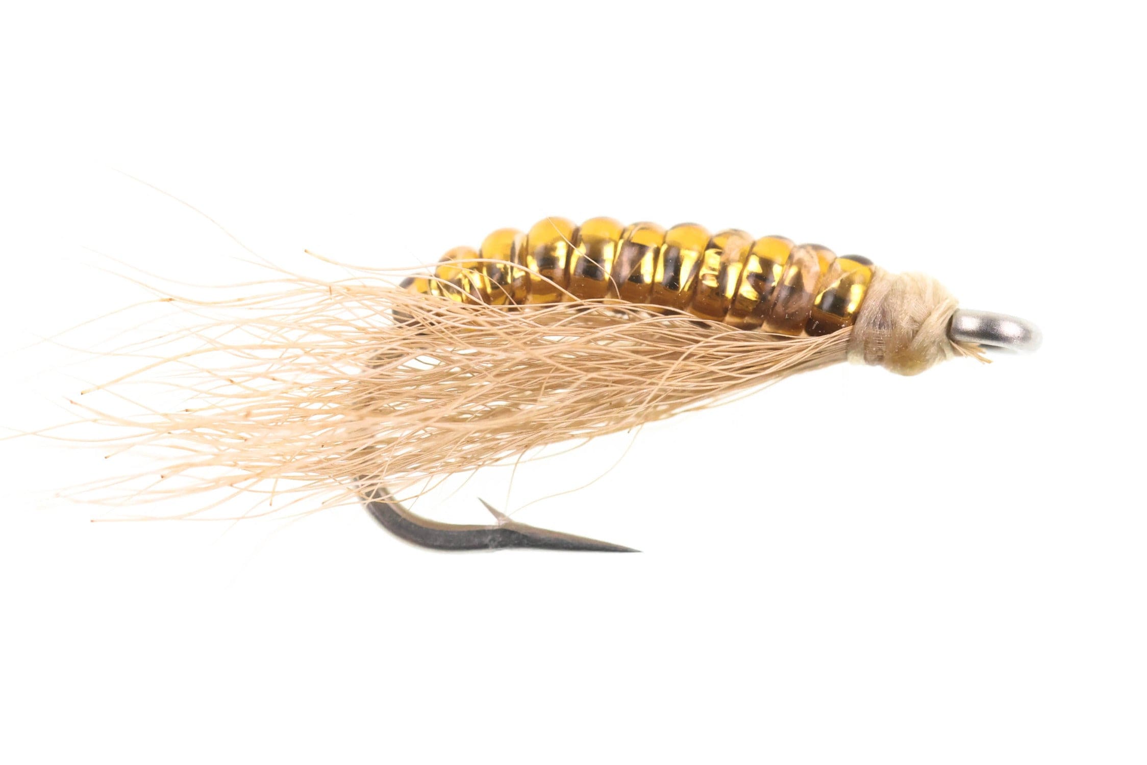Solitude Blind Charlie Fly