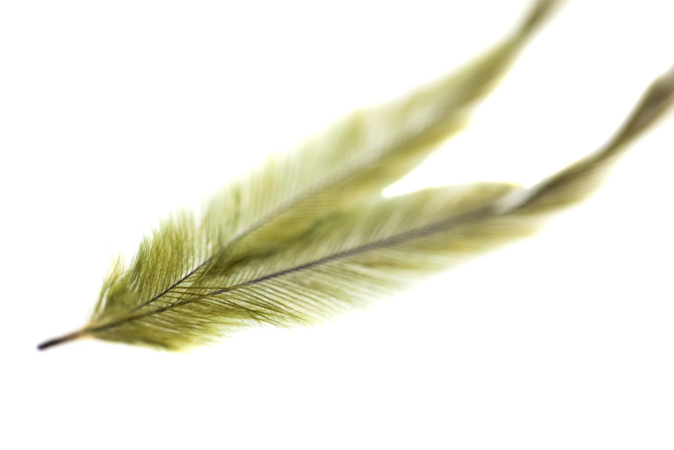 Spirit River UV2 Emu Feathers