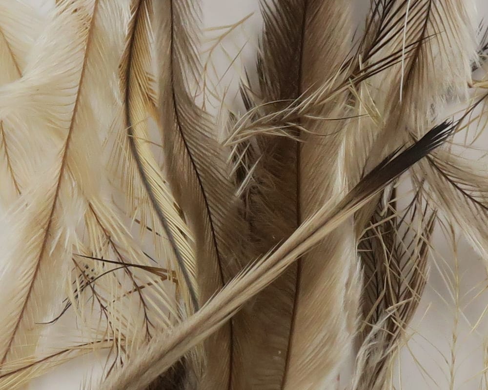 Spirit River UV2 Emu Feathers