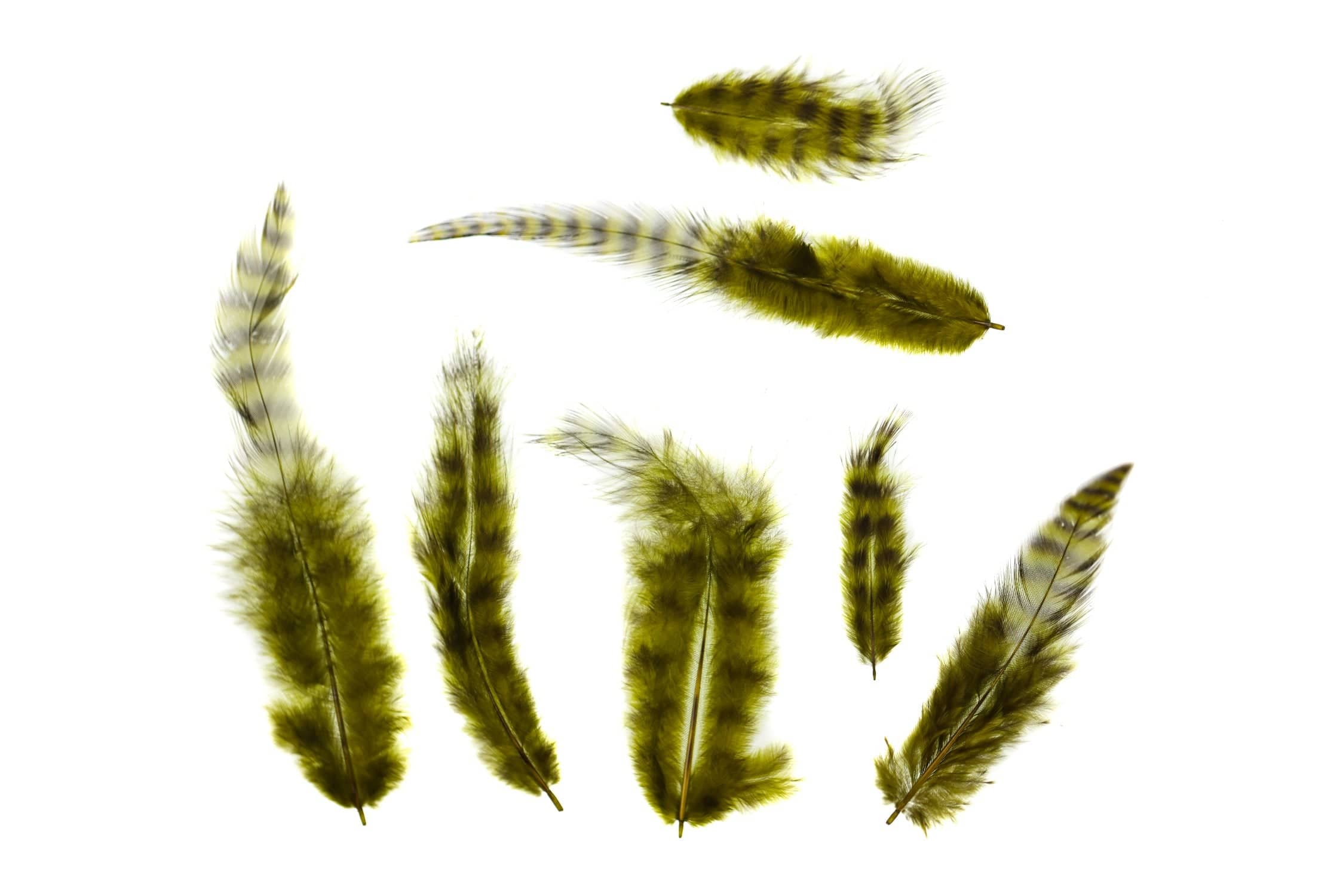 Spirit River UV2 Grizzly Soft Hackle