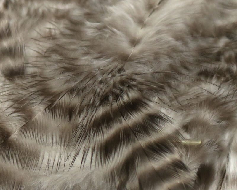 Spirit River UV2 Grizzly Soft Hackle