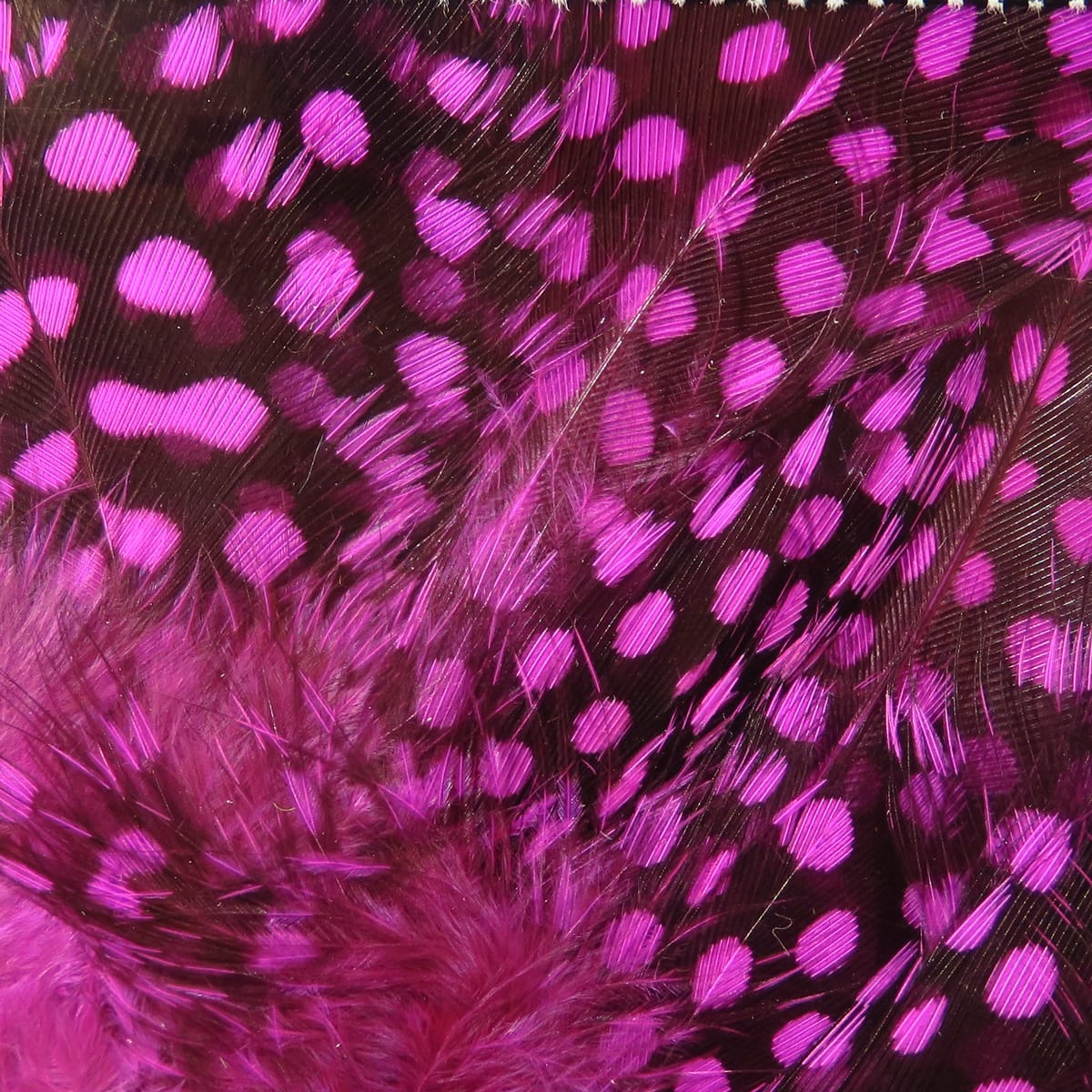 Spirit River UV2 Large Eyed Guinea Feathers