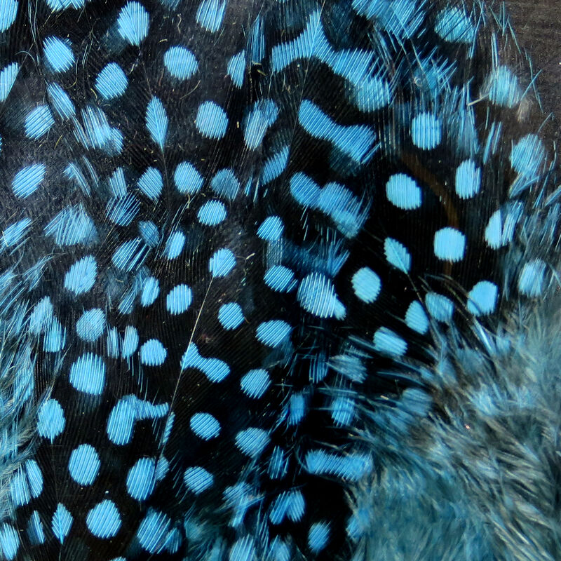 Spirit River UV2 Large Eyed Guinea Feathers