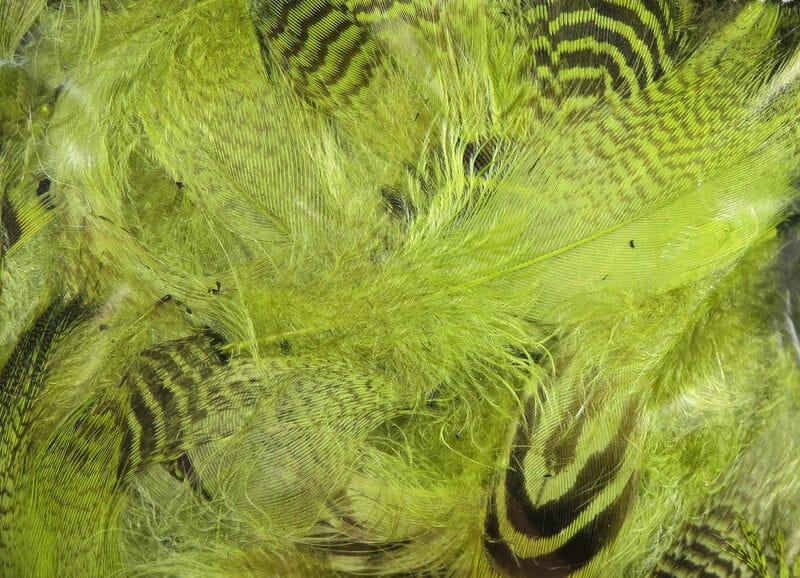 Spirit River UV2 Mallard Flank