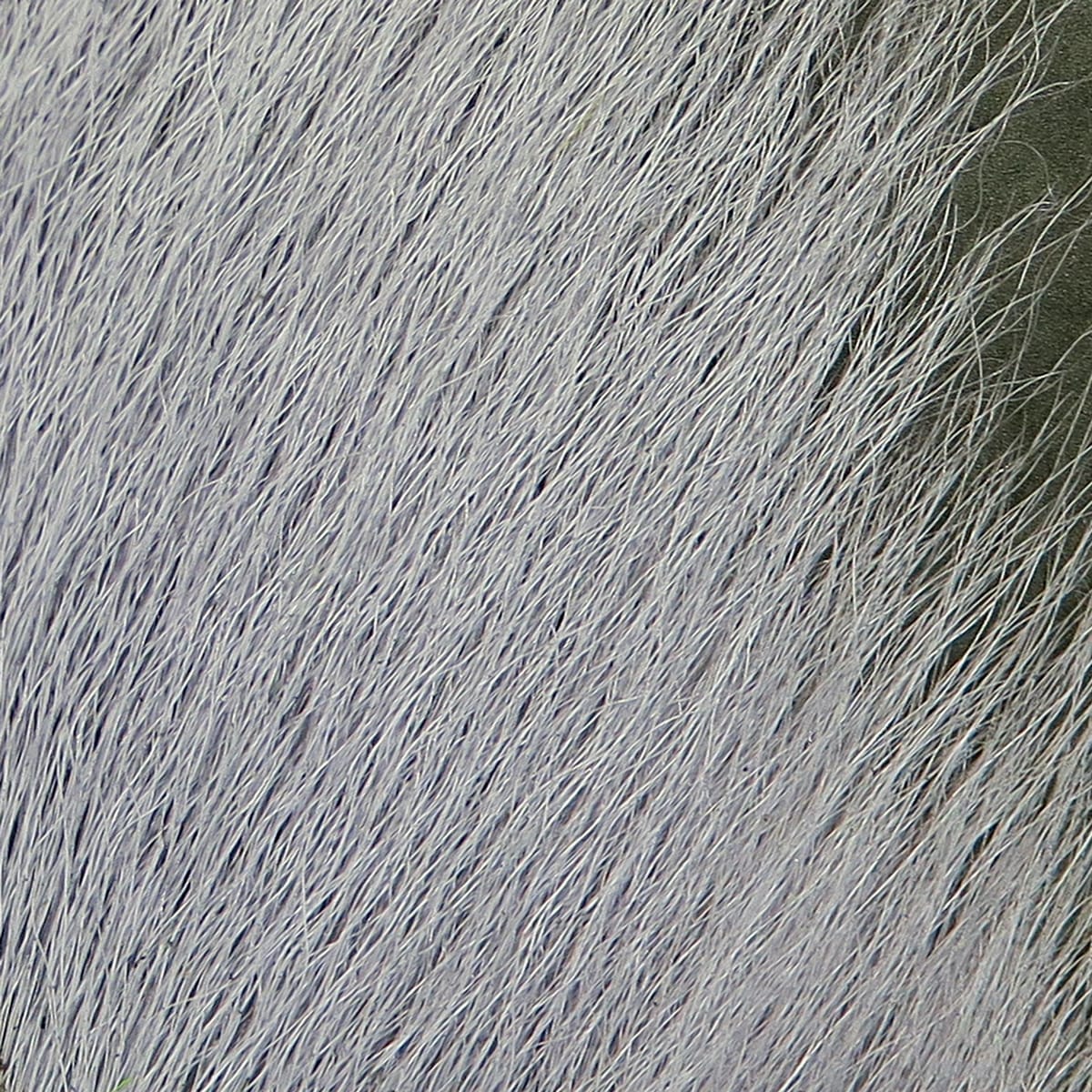 Spirit River UV2 Select Bucktail